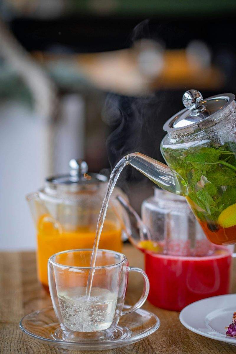 日本茶の試飲・テイスティング案内
